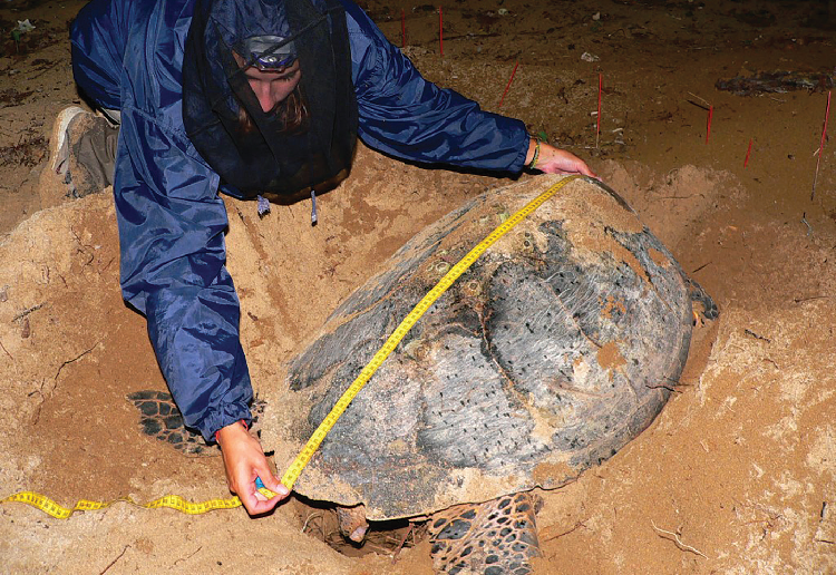 amenagement_gouvernance-57