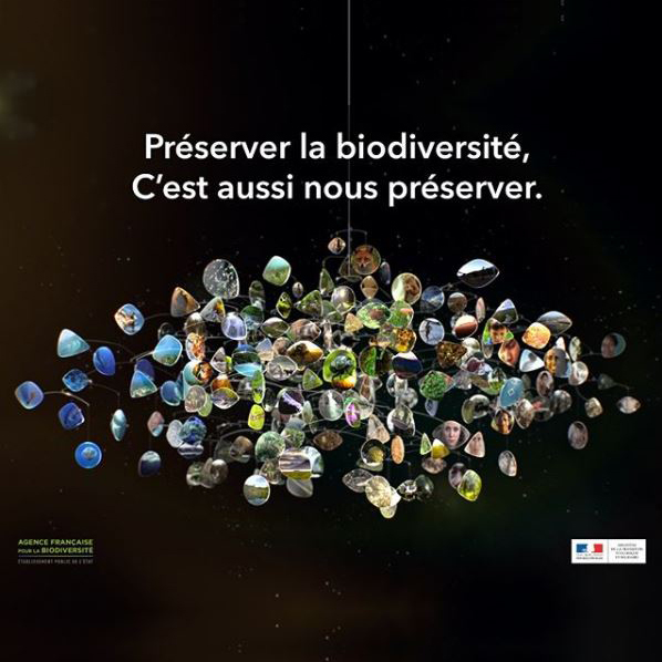 Capture-site-biodiversite
