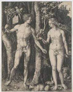 file-20180522-51141-1iwwgu5